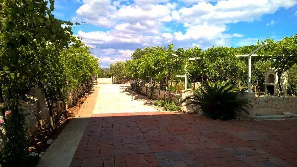 Villa Palas Apartments ロゴズニッツァ エクステリア 写真