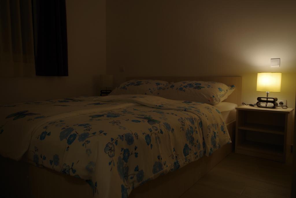 Villa Palas Apartments ロゴズニッツァ 部屋 写真